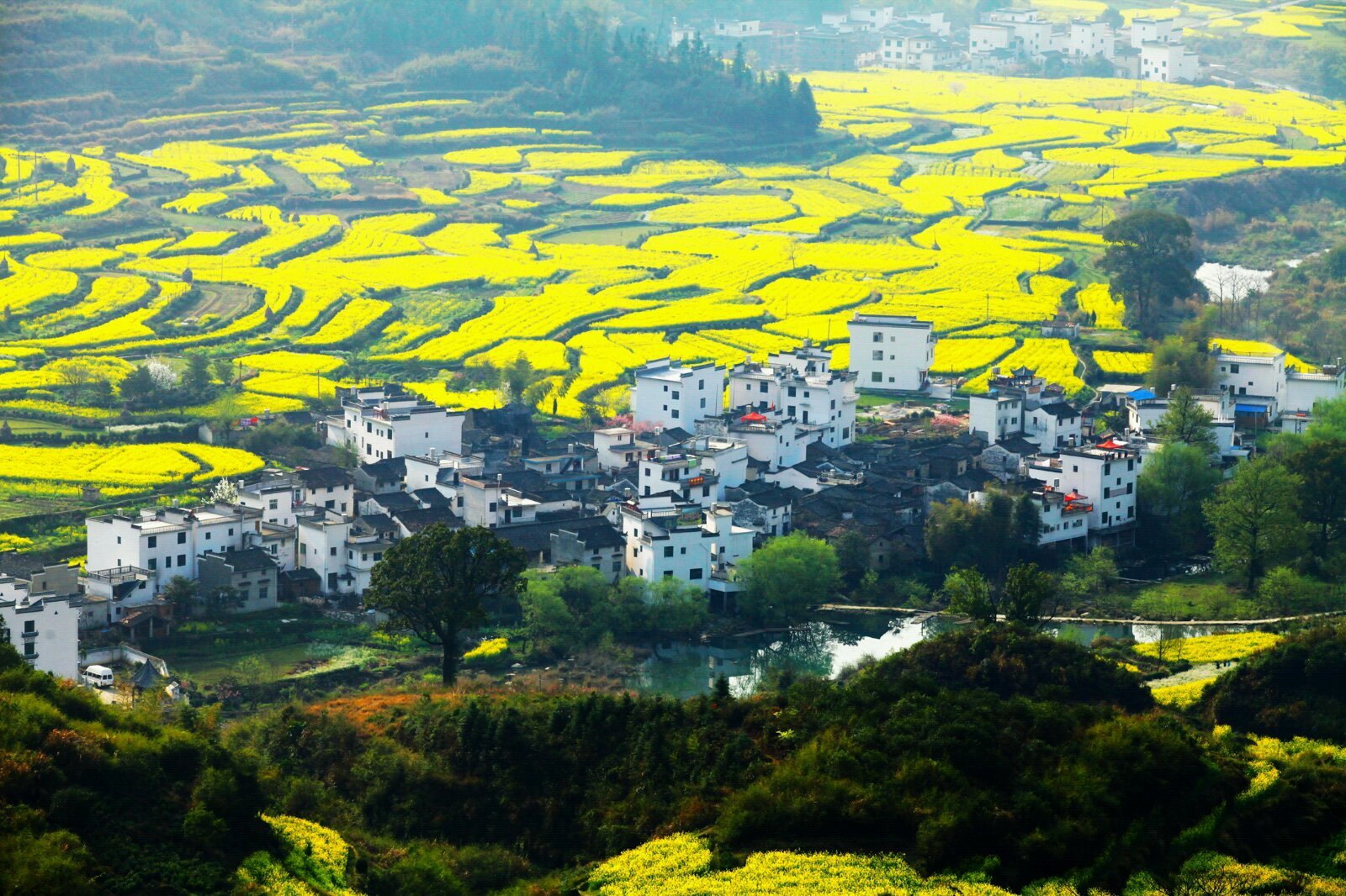 天下第一名山-黄山风景区■中国画里的乡村-西递古村■木坑竹海