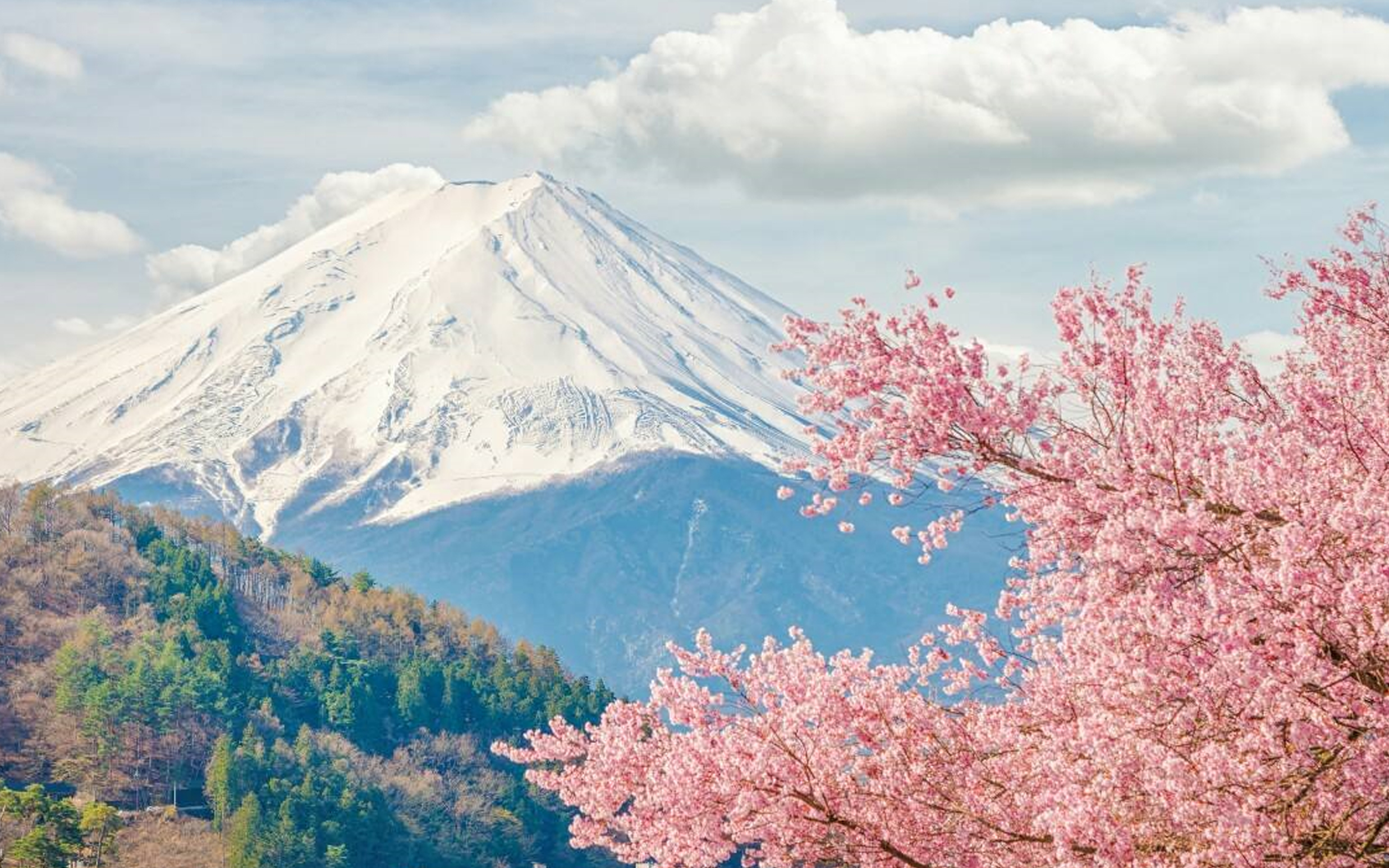 2019春季丨日本东京 大坂、名古屋、箱根、富士山全景六日_亚洲风情_诸城阳光国旅