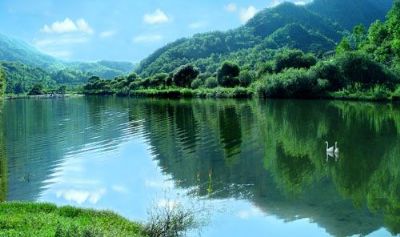 （5）（如画阳坝）汽车康县阳坝梅园沟、西狭颂、花桥村 三日游