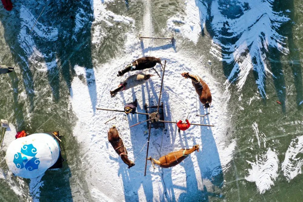 12月27跟着我们赴查干湖冬捕之约，浓浓的冰雪渔猎节开幕仪式，一定会大放异彩！名额有限不要错过哦