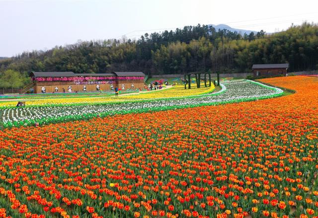 （研学） 西九华花千谷、龙津溪地、休闲一日游