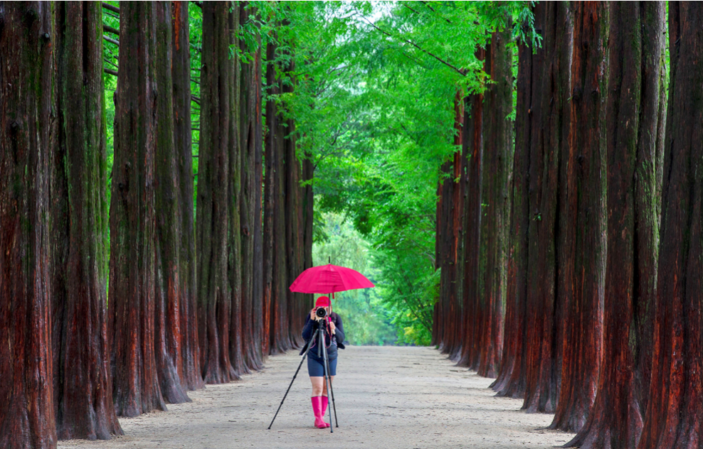 韩你来玩 浪漫南怡 韩国 盛游国际 韩你来玩 浪漫南怡